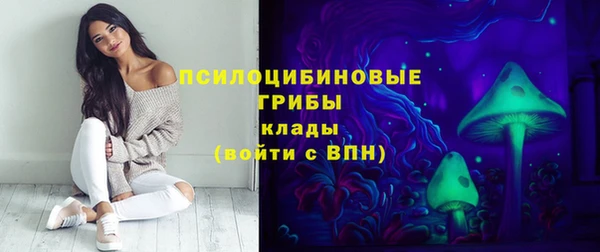 прущие грибы Армянск