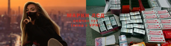 СК Аркадак