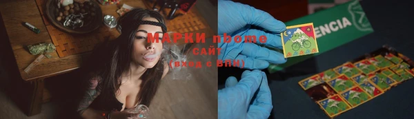 прущие грибы Армянск