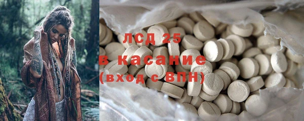 прущие грибы Армянск