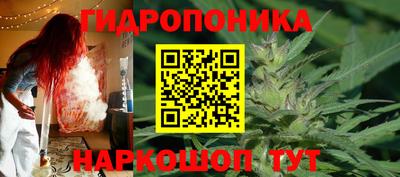 амф Новокубанск