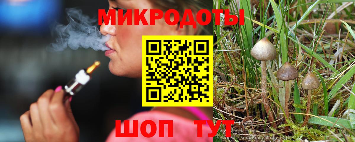 Галлюциногенные грибы MAGIC MUSHROOMS Сунжа